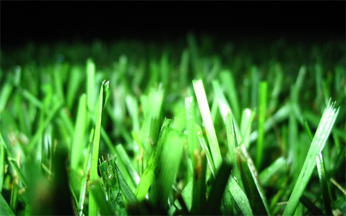 伊利师范2018招生专科，伊犁师范专科多少分能上啊